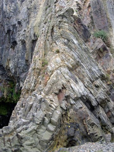Impressive chevron anticline in turbidites and mudstones, at Newport Sands